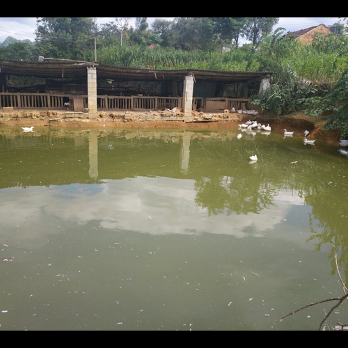 2、房前水池的風水怎麼樣