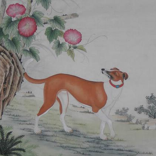 1、屬狗的生肖年數