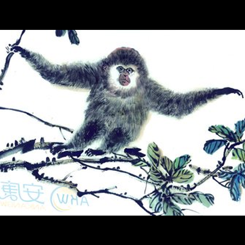 2、猴子房子的好壞位置