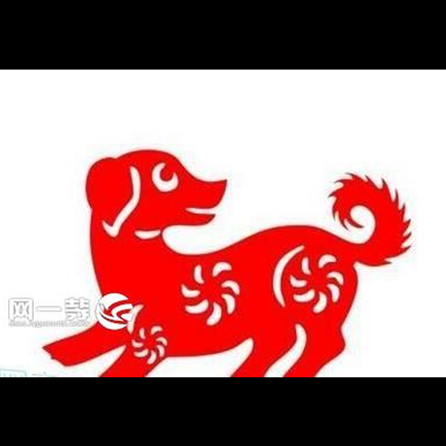 2、狗的年齡