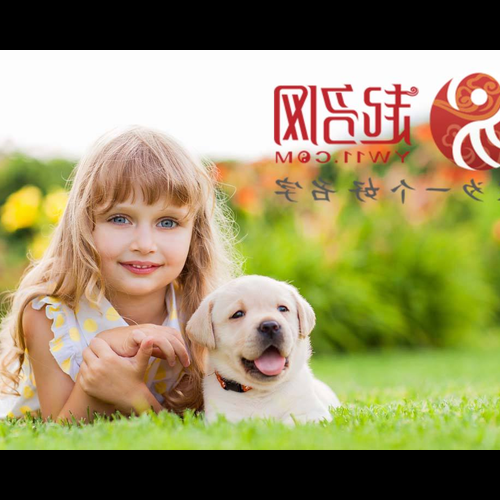 2、三月狗生日給狗起什麼名字合適?