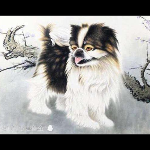 2、屬狗年的雄性,今年桃花容易開嗎?