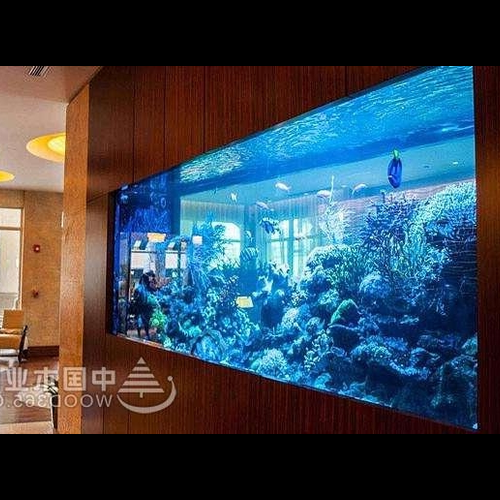 1、你知道辦公室魚缸的風水嗎?