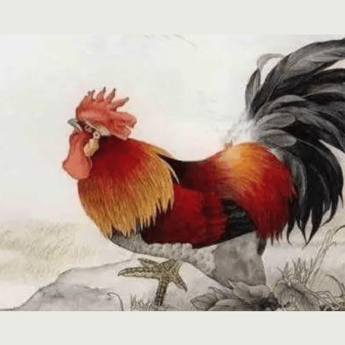 1、十二生肖狗與三月狗和十二月狗相配嗎?三月屬雞和十二月屬狗能配嗎?