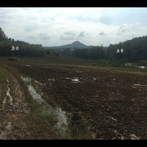 2、風水說:祖墳風水墓地是好是壞?