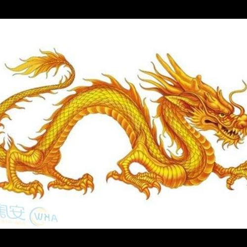2、龍所生的母親和狗所生的孩子是衝突的嗎?