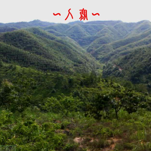 2.祖墳對後代有什麼影響?陰宅風水對事業運勢的影響