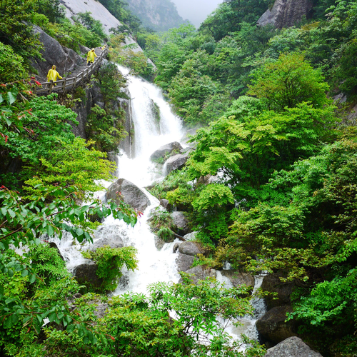 2、陽宮風水簡介