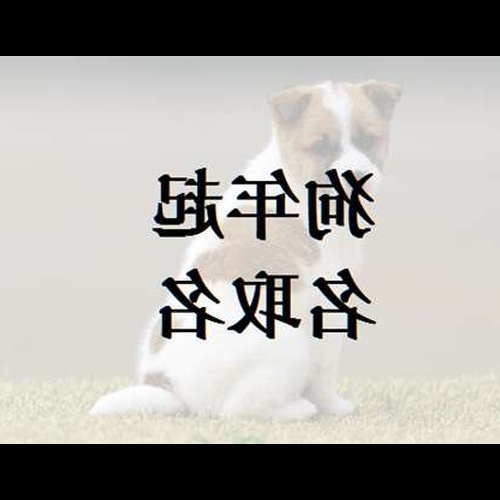 屬狗男孩名字免費