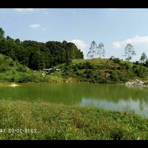 2.風水蓮花地是什麼意思,好不好?