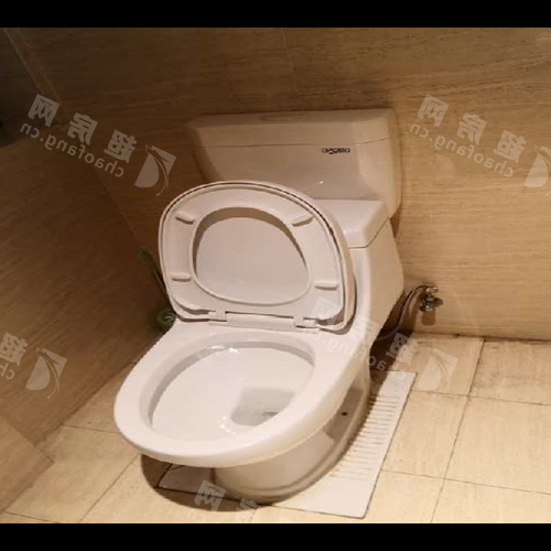3、馬桶頂的馬桶漏水要不要樓上修?