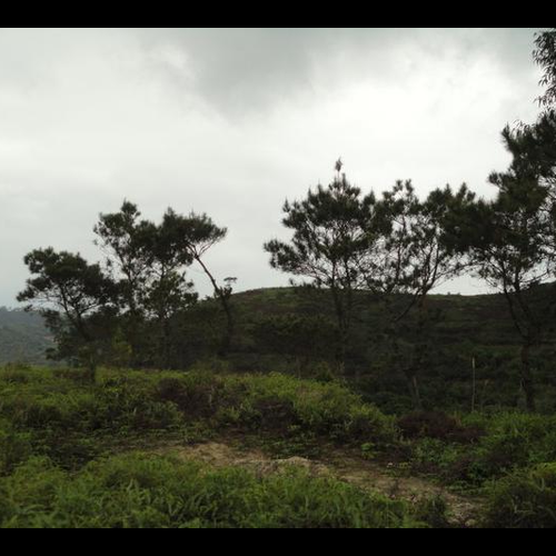 3、前些日子,風水高手來到屋裡,說要在院子裡挖個洞埋葬硃砂土龍,在上面壓一本書,在書裡放一個符咒,撒上五粒這可靠嗎?