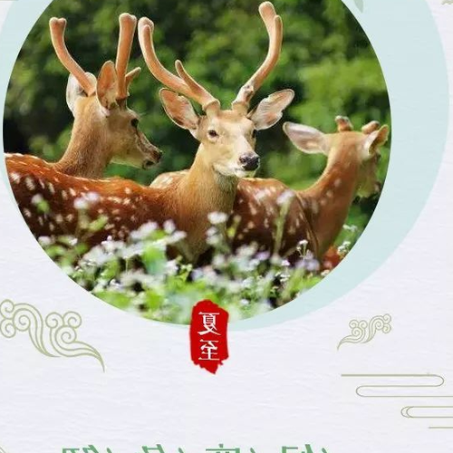 4、夏至避夏至有什麼意義