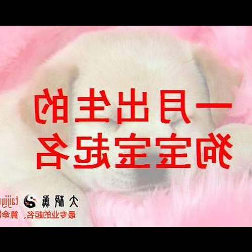 3、狗、男孩,生於2018年10月22日《陽曆》,出生晚上10點22分,大神幫忙取了個名字,姓李,兩個字最好,謝謝! !