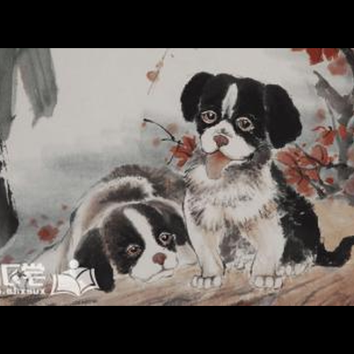3、狗年的運勢是1982年出生的嗎?