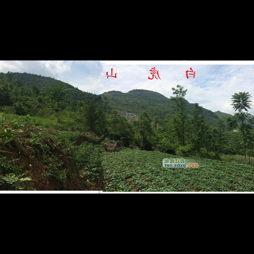 4、風水寶藏廣西,哪裡是最好的祖墳風水