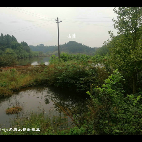 3、風水寶地的天鵝洞,一隻天鵝彷彿從低處向北飛來