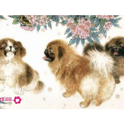3、媽媽是虎,爸爸是狗,哪個生肖對孩子好,爸爸是老虎,媽媽是狗,這是孩子最好的孩子