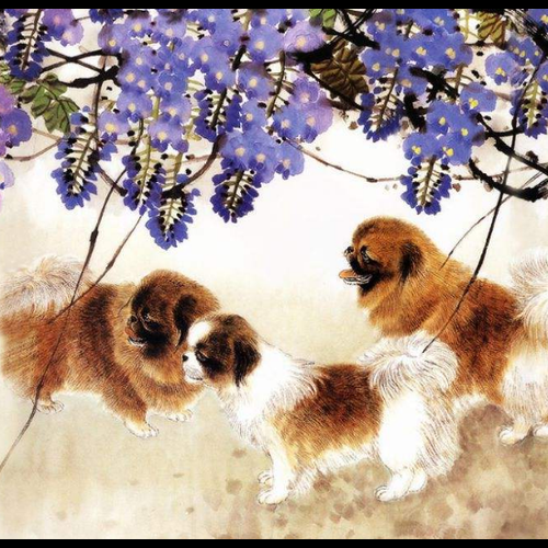 3、農曆5月24日6月19日姓施佳寧怎麼樣?