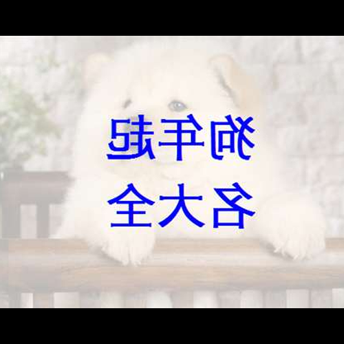 3、狗年最佳出生月份是狗年寶寶出生的最佳月份
