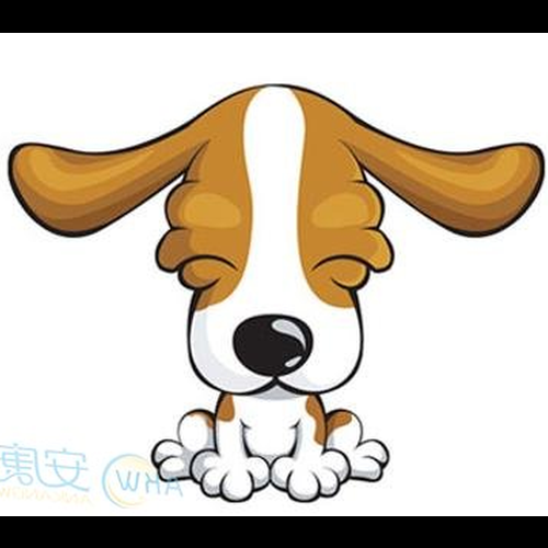 3.屬狗的狗能在公曆2月18日結婚嗎?