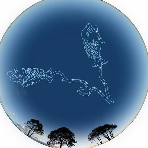 3、太陽星座是1987年3月1日的雙魚座我想知道我的月亮星座和上升星座!