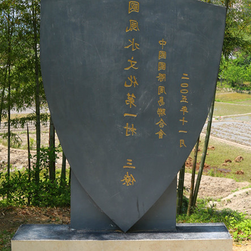3、中國十大風水大師?人民的眼睛最亮,請放開