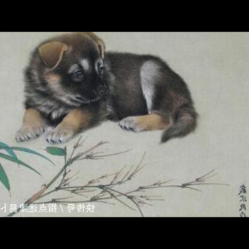 3、 1982年出生的狗和1981年出生的雞可以結婚嗎?