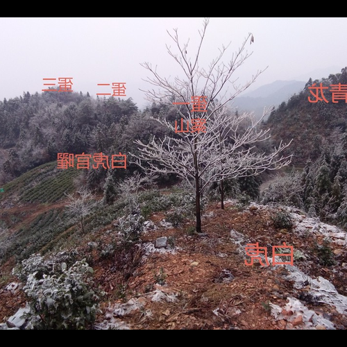 3、風水腧穴前嶗山是什麼意思?