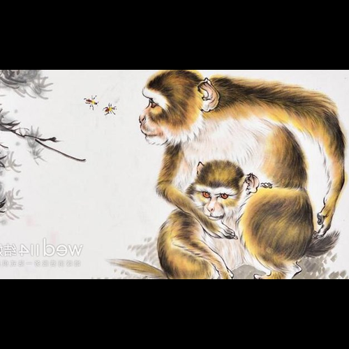 3、女猴狗生肖能配嗎?