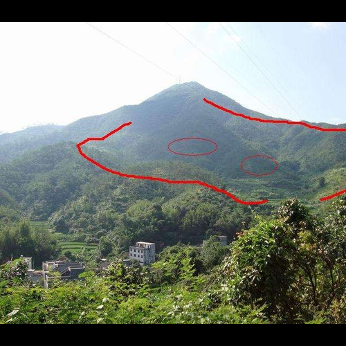3、油山貓的方向,水流時一塵的吉凶?