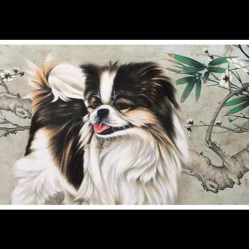 3、狗年生於命月
