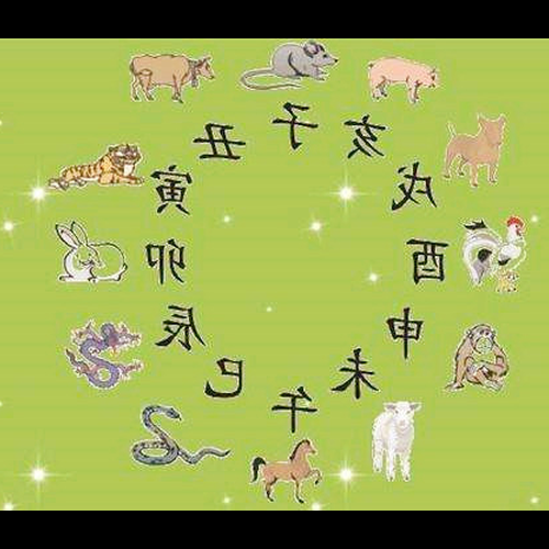 4、我屬龍,女兒,狗衝突?