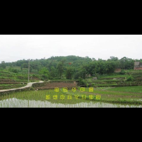 3、風水對公司重要嗎?