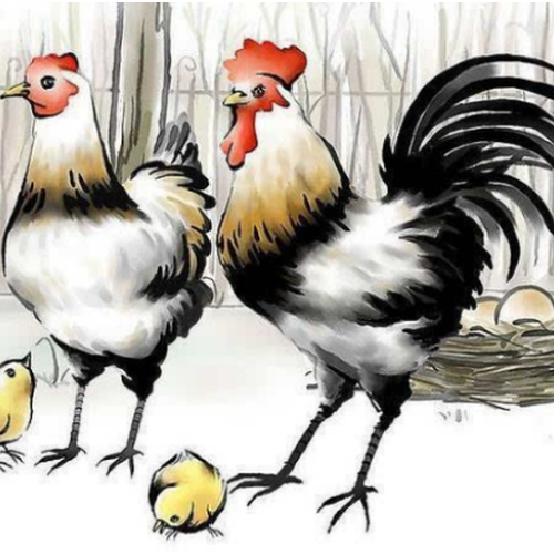 3、狗和豬孩子是什么生肖?