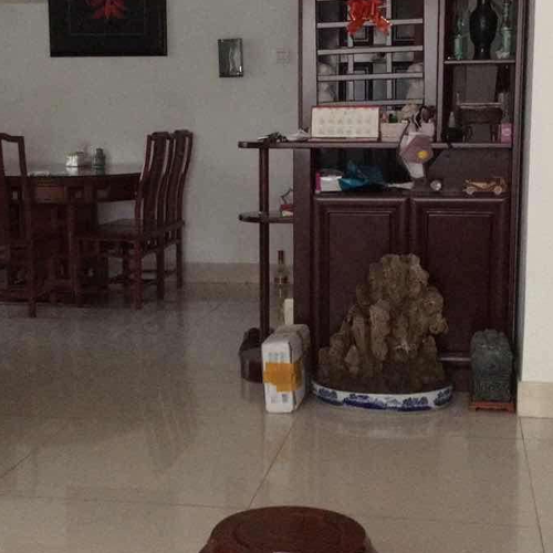 4、請問師父在我家門口放了兩隻石獅子,會不會影響我家的風水?