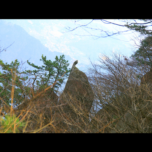 3、為什麼九華山德毛堂選在這麼偏僻的地方,風水好不好?