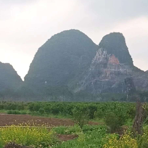 3、廣東南嶺村和浙江華西村，誰是我國第一村？ 