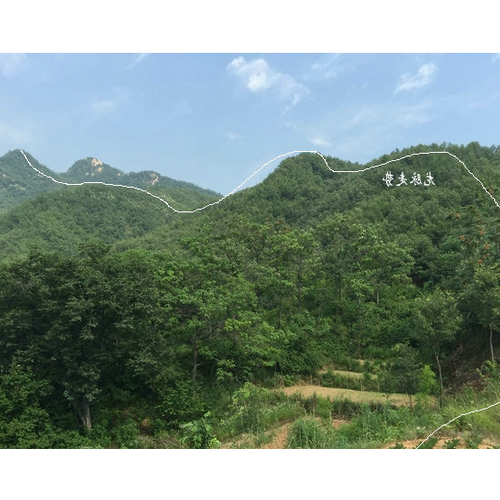 4、風水“龍脈”有思想科學嗎?
