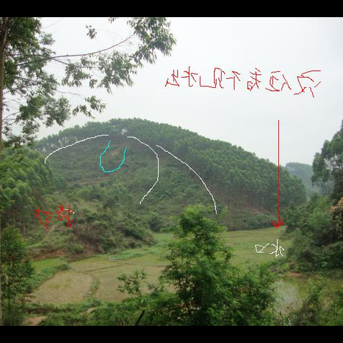4、以醜能住羊寨五山子項建定桂嗎?