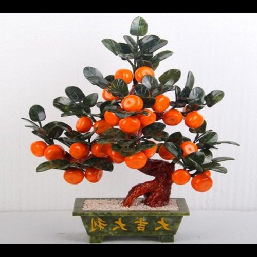 4、在農村家庭種植橘子樹的最佳地點在哪裡?方向?風水