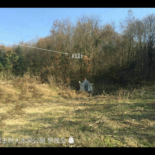 4、武漢最厲害的風水師是哪家
