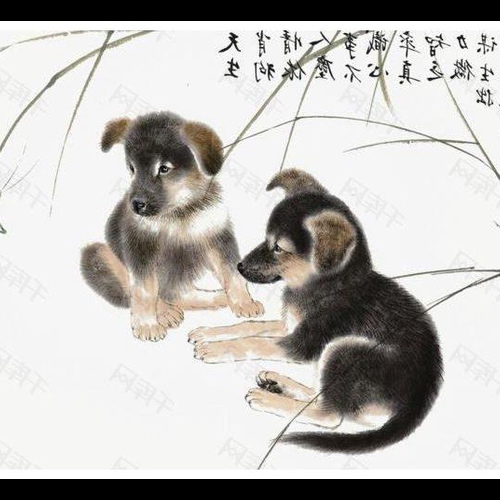 4、狗年有多少年?