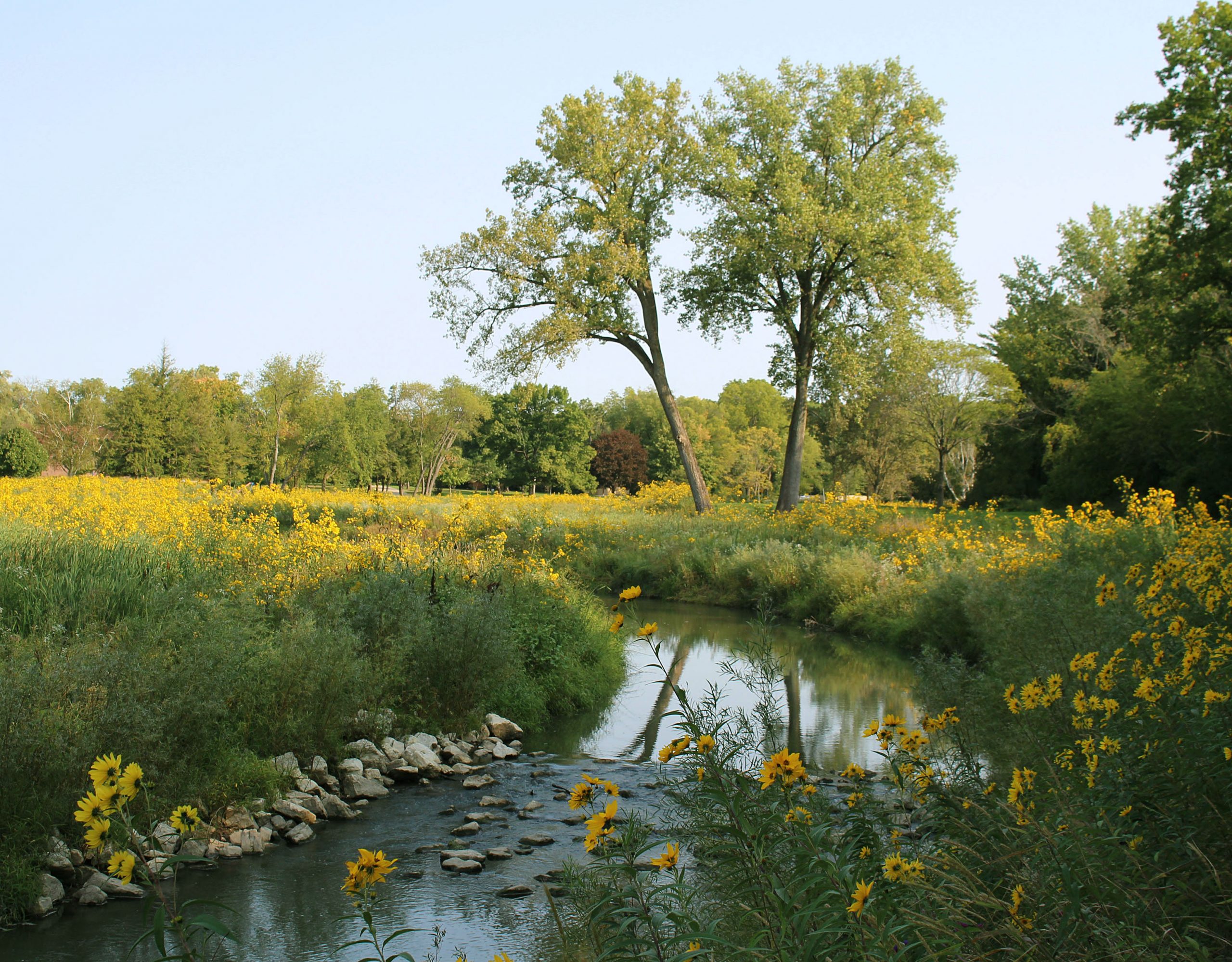 Pike River Phase II streambank restoration work to begin at Petrifying