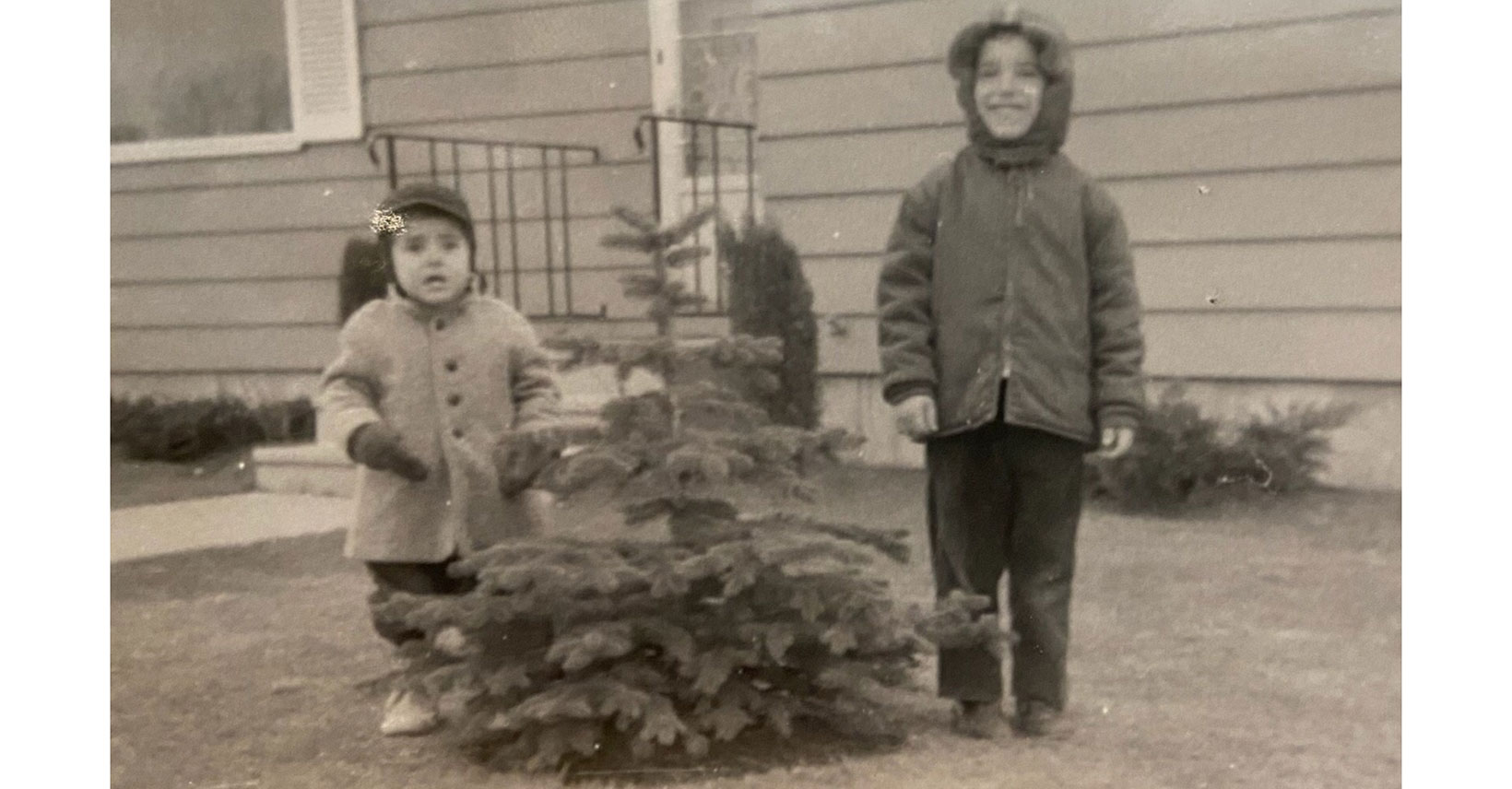 City Of Kenosha Christmas Tree Disposal 2022 Official City Of Kenosha Christmas Tree Is Not Just Any Old Tree |  Kenosha.com