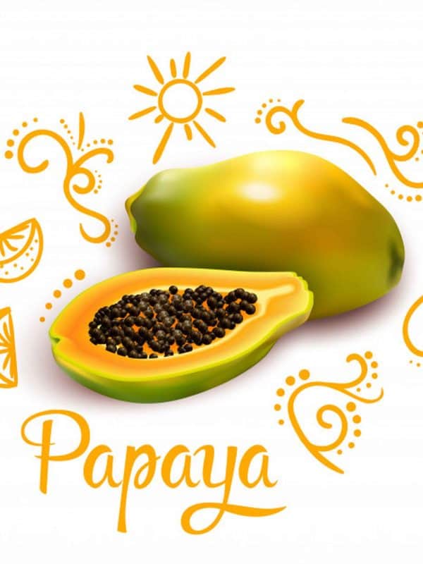 Capsula Papaya