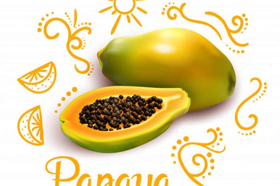 Capsula Papaya