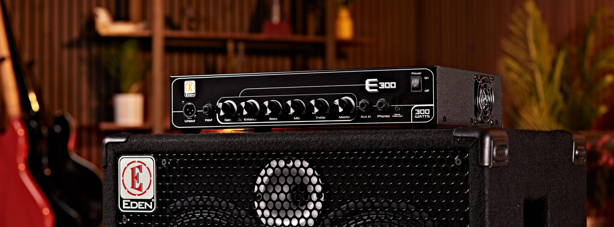 E Series - Eden Amps