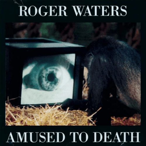 roger waters amused to death cove