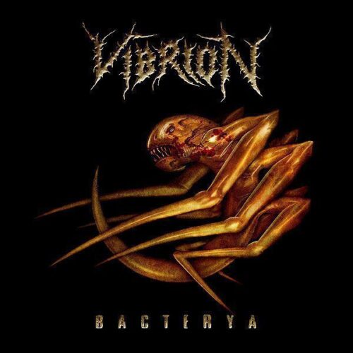 Vibrion Bacterya